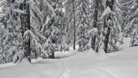 Webinaire ABTourisme du 29 décembre 2020